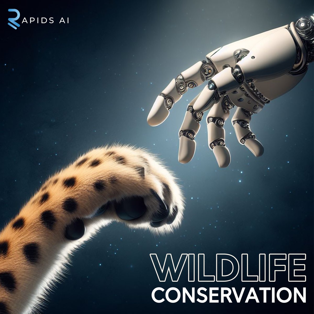 rapidsaii's tweet photo. Machine learning is playing a role in wildlife conservation by helping researchers monitor and protect endangered species. Computer vision algorithms can analyse camera trap images to identify and track animals in the wild. 

#artificialintelligence #computervision https://t.co/xDAaWHFeg4