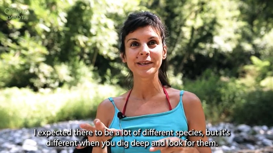 MICS project (@micsproject) on Twitter photo Citizens for SDG15.1 <a href="/okvirzivota/">Okvir života</a> scores 23/42 for #impact in scientific productivity
The project will have some exciting publications on the NEW SPECIES identified in the wider area around Monument of Nature Ribnica 🦋
Until then, watch this video 👇
youtube.com/watch?v=iqxJpp… Citizens for SDG15.1 <a href="/okvirzivota/">Okvir života</a> scores 23/42 for #impact in scientific productivity
The project will have some exciting publications on the NEW SPECIES identified in the wider area around Monument of Nature Ribnica 🦋
Until then, watch this video 👇
youtube.com/watch?v=iqxJpp…