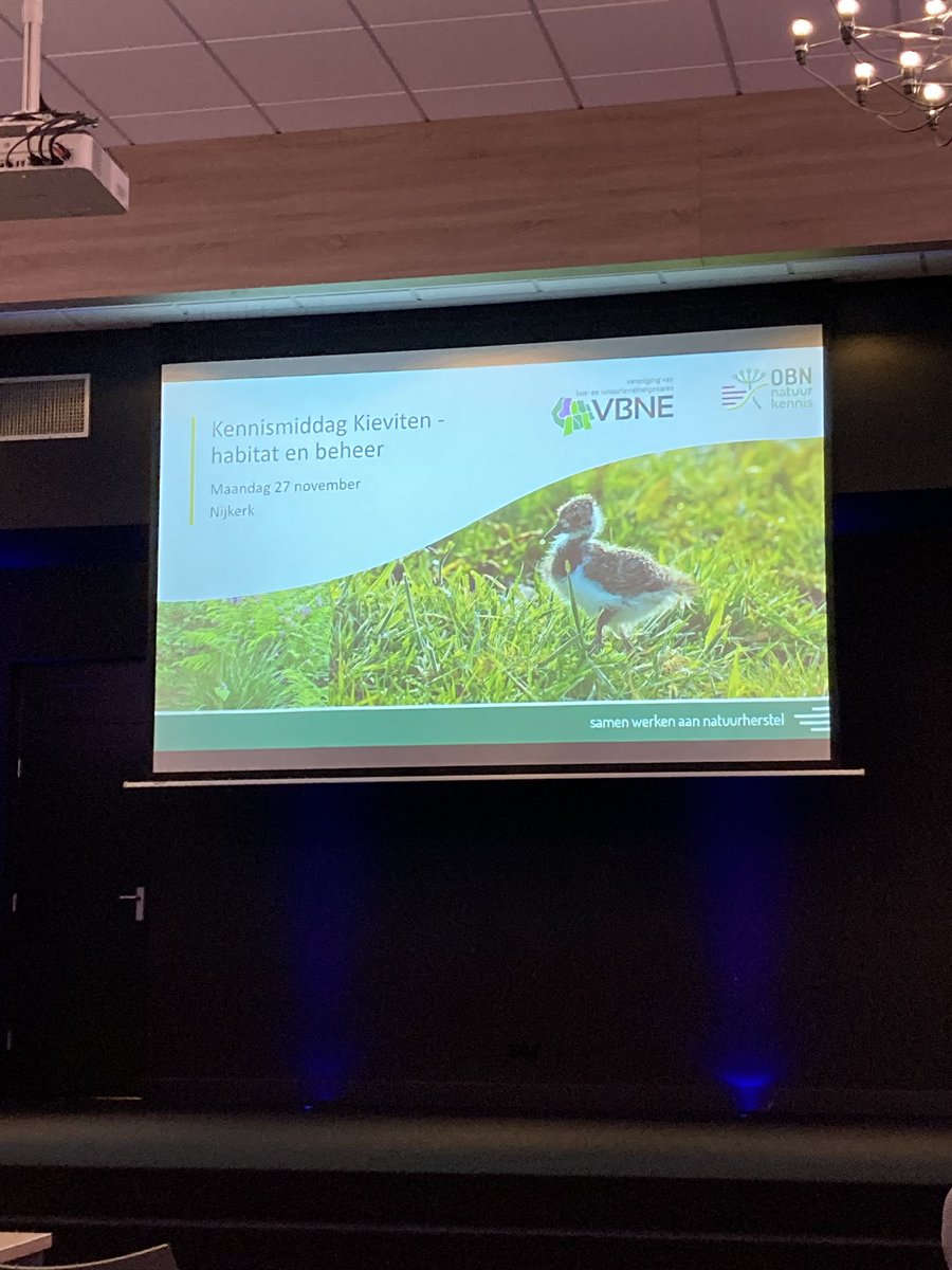 Volle zaal toehoorders voor de OBN Kennismiddag over de Kievit vandaag. Het gaat erg slecht met deze schitterende boerenlandvogel. Waarom is dat zo, en wat kunnen we eraan doen?
