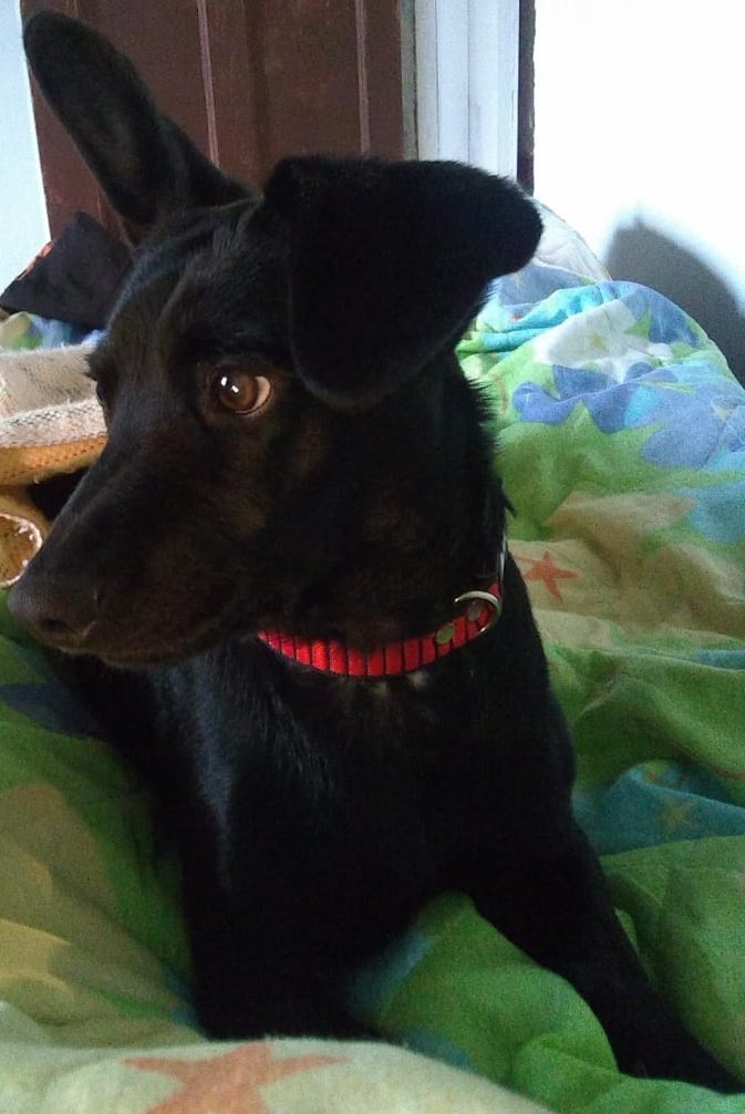 MarceHenao tweet media