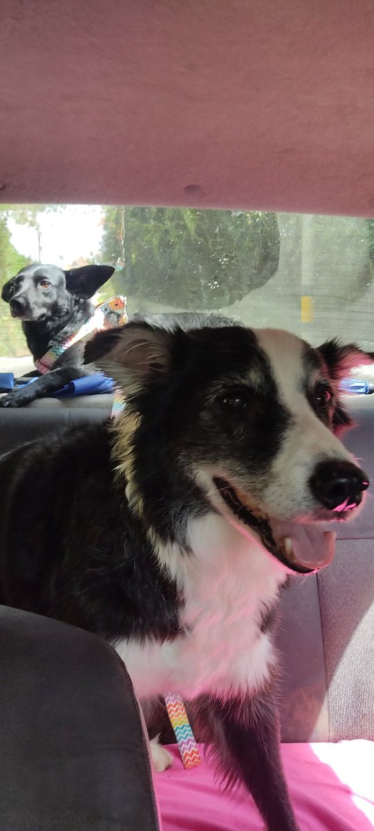 MarceHenao tweet media