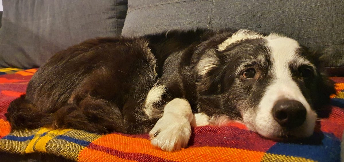 MarceHenao tweet media