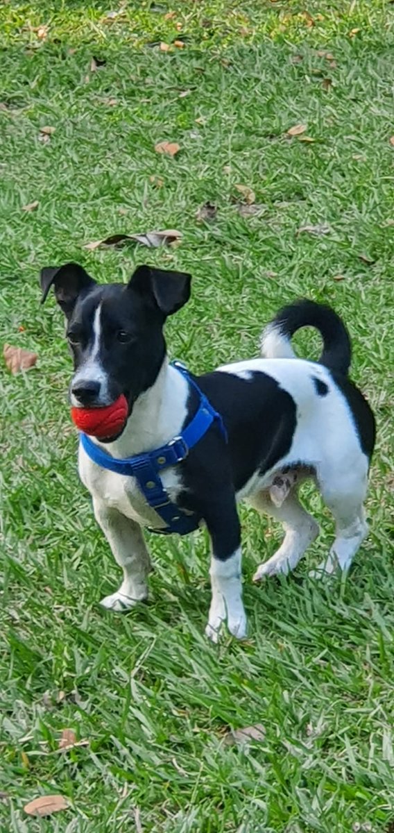 MarceHenao tweet media