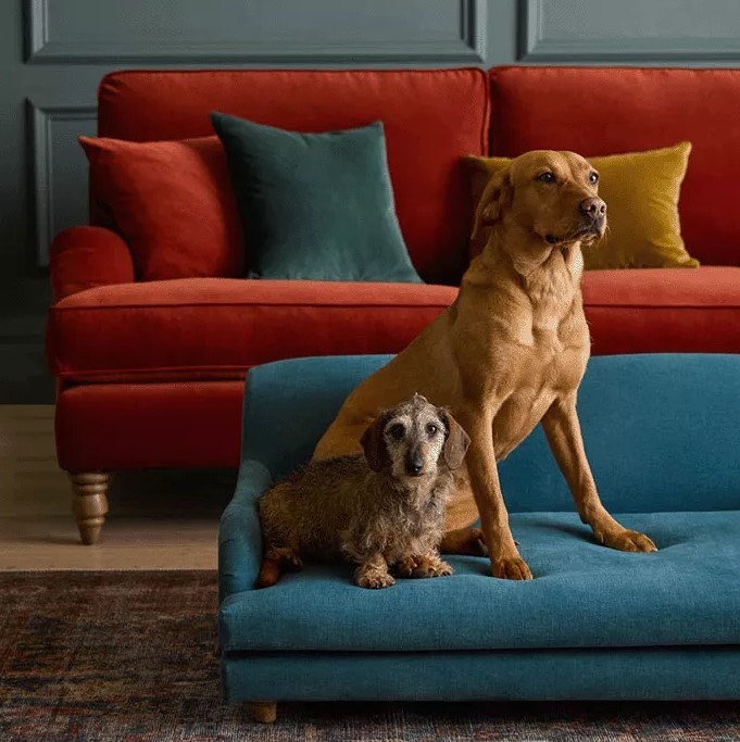 ExchangeNG1's tweet photo. Enrich your Oasis with @sofadotcom
Welcome suave style into your home with their new Autumn/Winter '23 collection: https://t.co/HOxBQ13i1y
#sofas #sofasolutions #designtrends #interiordesign #homefurnishings #homedecor #homeinspo #theexchangenottingham https://t.co/332gxjG8yF