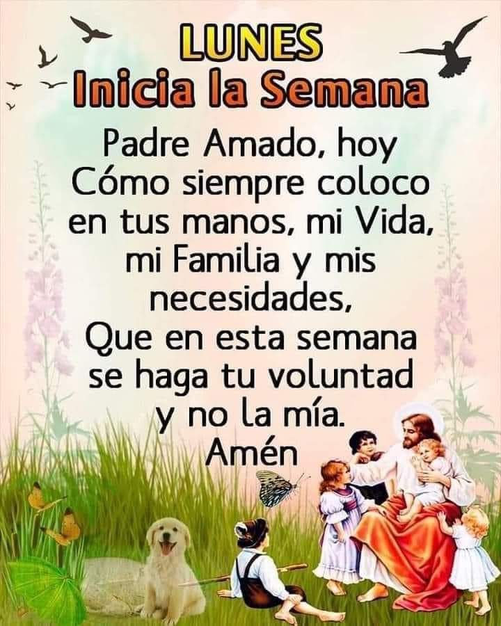 Norma Martinez alejo (@normama_alejo) on Twitter photo 