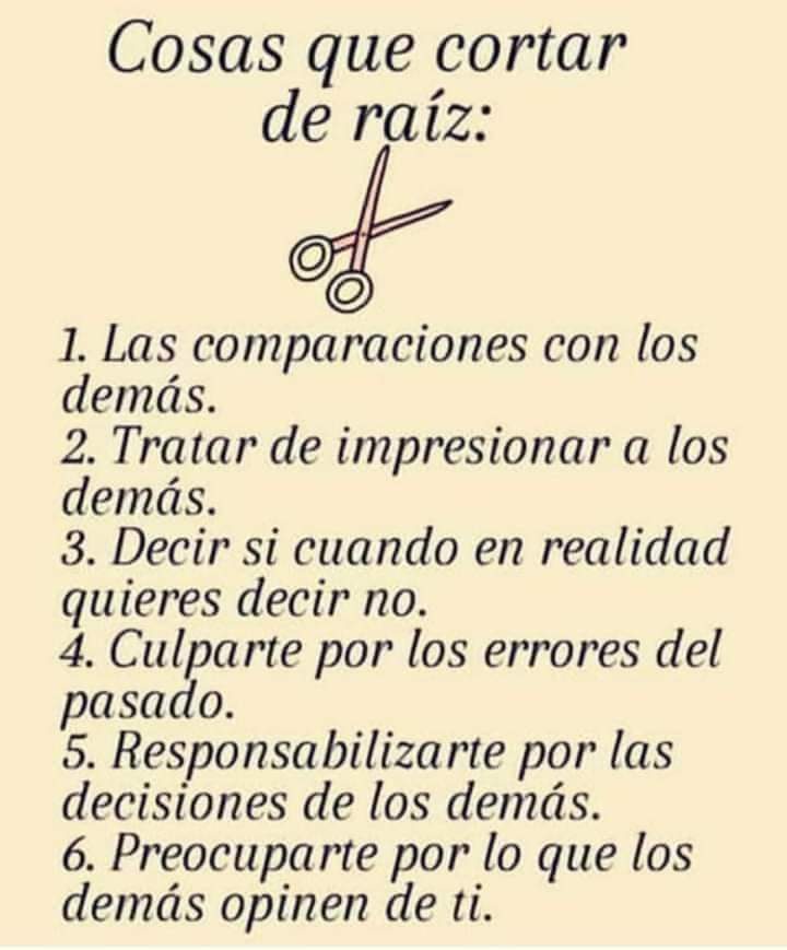 AsociacionApeap's tweet photo. https://t.co/Kz4E4e6frk