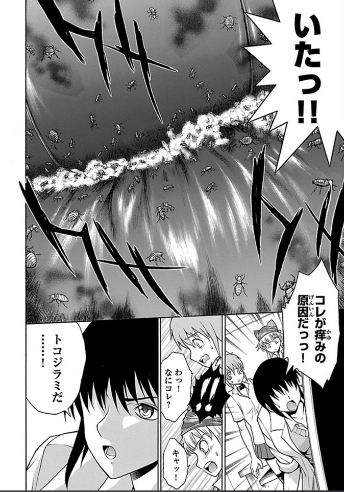 女子高生・昆虫博士がトコジラミと対決するお話し～ むしちく編(1/3)