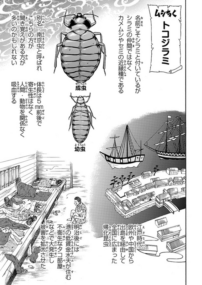 女子高生・昆虫博士がトコジラミと対決するお話し～ むしちく編(1/3)