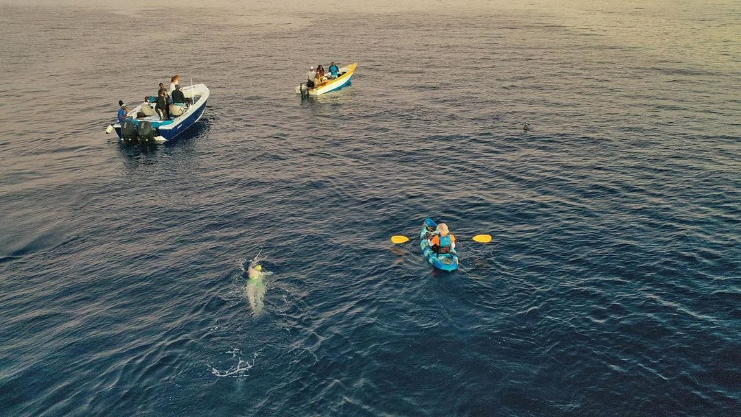 Invest_Dominica's tweet photo. An incredible feat was completed in Dominica this weekend.
From Discover Dominica: Congratulations to Shannon Keegan! She has braved the #Waitukubuli Sea Trail, swimming the 66km trail continuously! 📷
📷Time: 25 hours and 40 minutes
#ecotravel #tourism #ecotourism #nature https://t.co/n7R3nXra6d