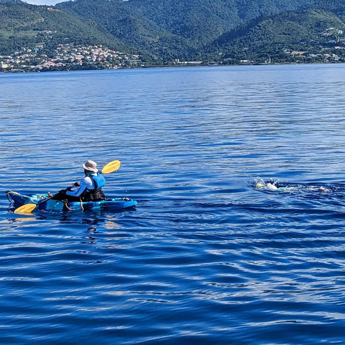 Invest_Dominica's tweet photo. An incredible feat was completed in Dominica this weekend.
From Discover Dominica: Congratulations to Shannon Keegan! She has braved the #Waitukubuli Sea Trail, swimming the 66km trail continuously! 📷
📷Time: 25 hours and 40 minutes
#ecotravel #tourism #ecotourism #nature https://t.co/n7R3nXra6d