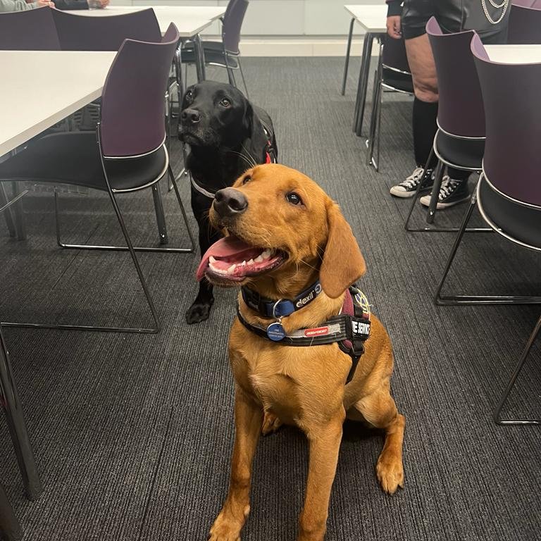 UoW Forensics tweet media