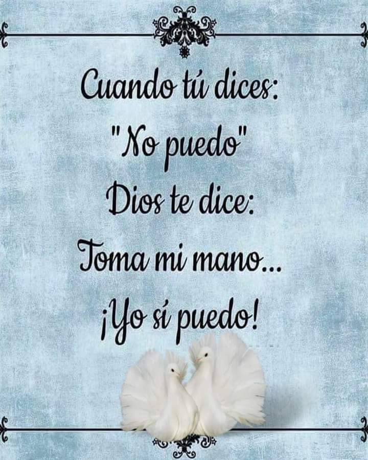 Buenos días 🌻
