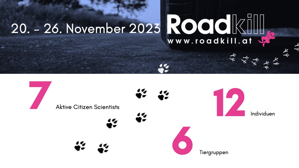 Wieviele überfahrene Tiere vergangene Woche in unserem #citizenscience Projekt gemeldet wurden, könnt ihr hier sehen.  Welche genau, findet ihr auf der Projektseite: roadkill.at/erfolge/woeche…