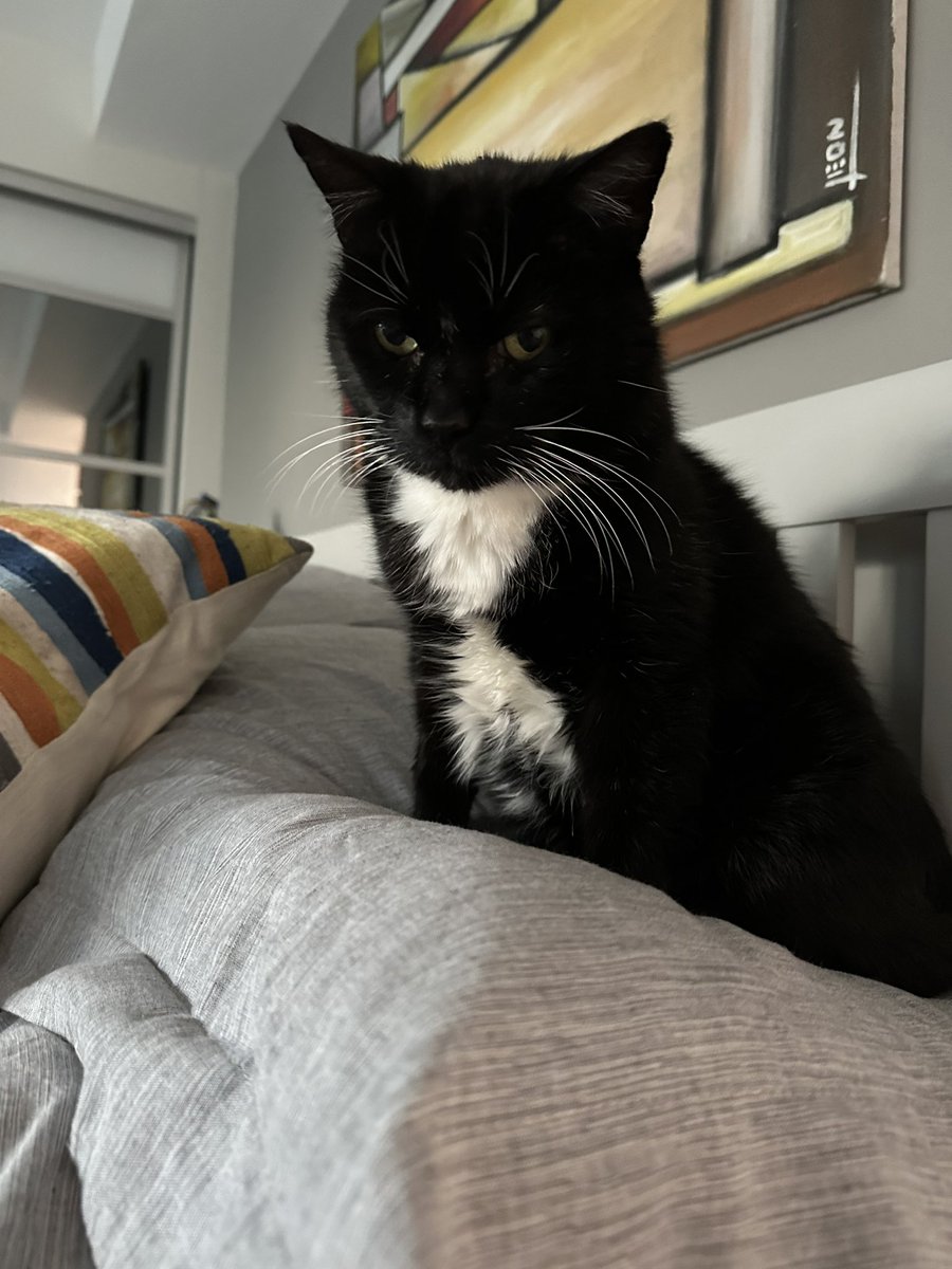 Paul Modley tweet media