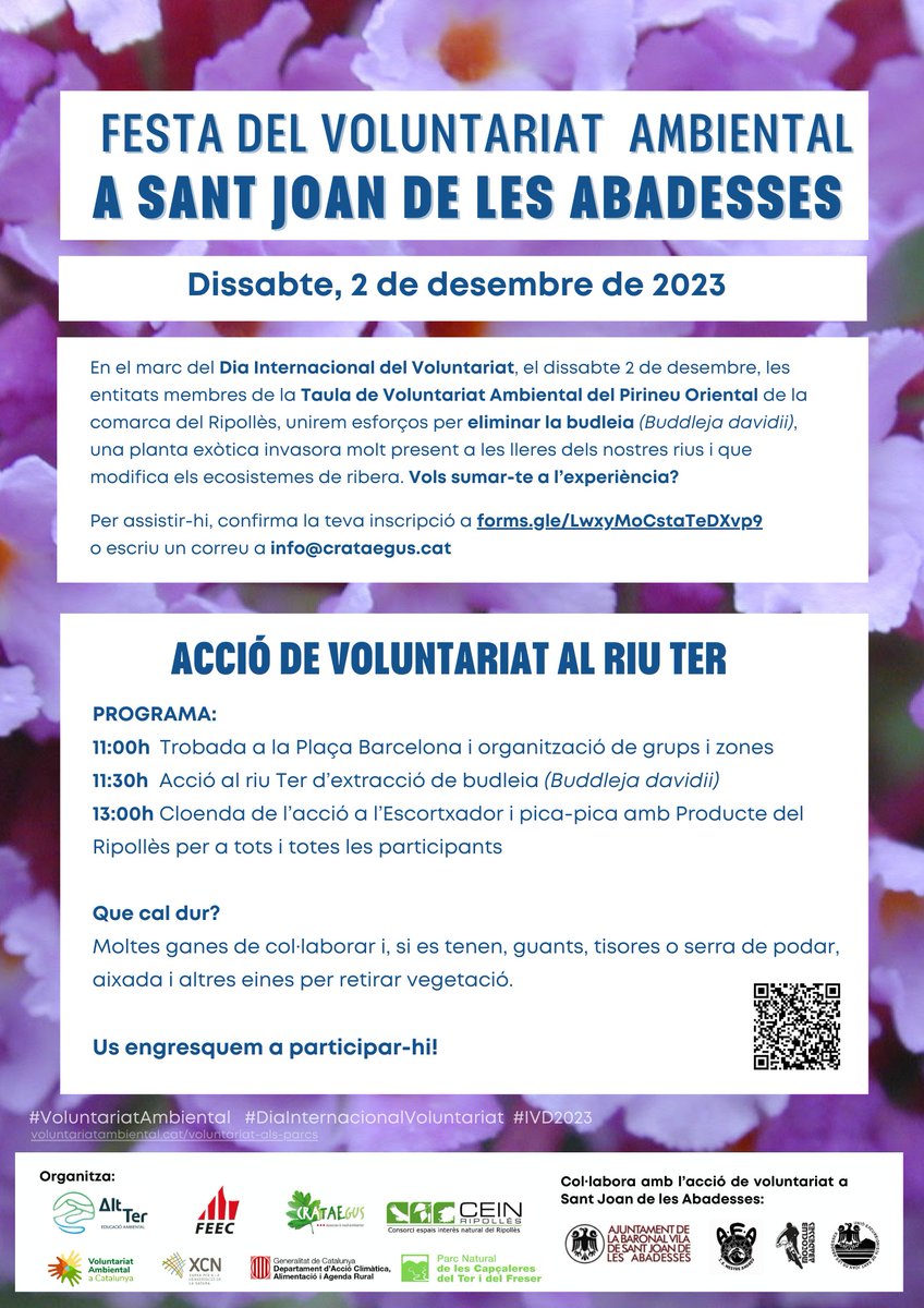 🖐🏻 El @CEAAltTer organitza una festa del voluntariat ambiental, amb la col·laboració de l'Ajuntament i d'entitats de la vila.

🪻L'objectiu és retirar la planta invasora budleia de l'ecosistema fluvial

📅  2/12 - 🕘 11 h
📍 Pl Barcelona

santjoandelesabadesses.cat/index.php/la-v…