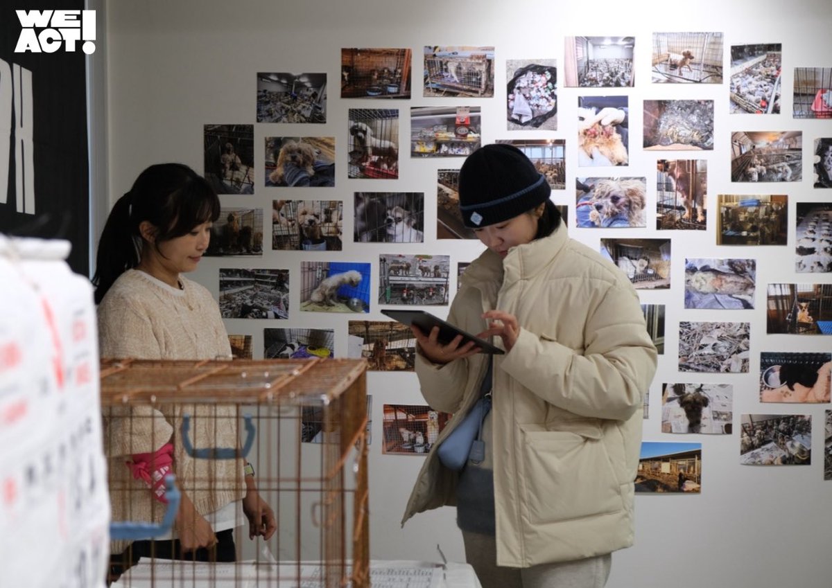 weACTkorea's tweet photo. 번식장 관련 전시를 보며 눈물짓던 장면도 잊을 수 없습니다. 강아지 친구들을 꼭 안고 위액트를 응원해주시고 오늘의 커피값을 양보해 주신 분도 많으셨답니다. 

입양 행사 장면 하나하나가 한 순간도 놓칠 수 없을 정도로 반짝하고 빛났습니다. https://t.co/71OEunjCUi