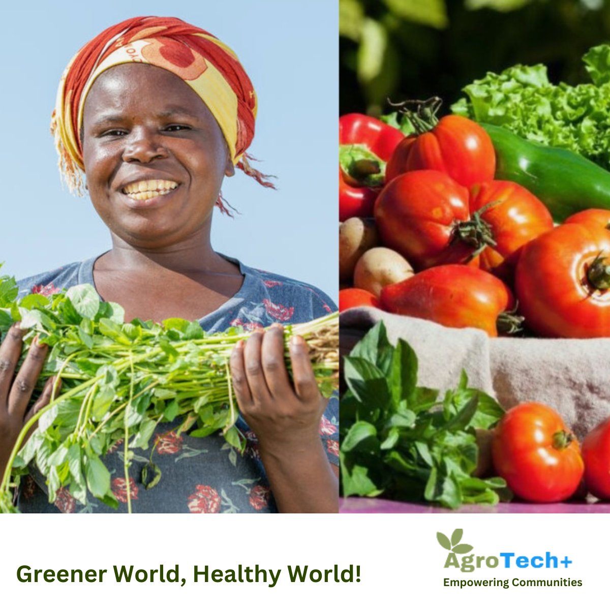 AgroTech Plus (ATP) tweet media