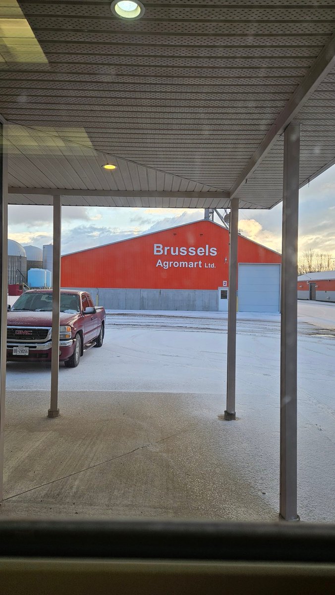 Jason Elg tweet media