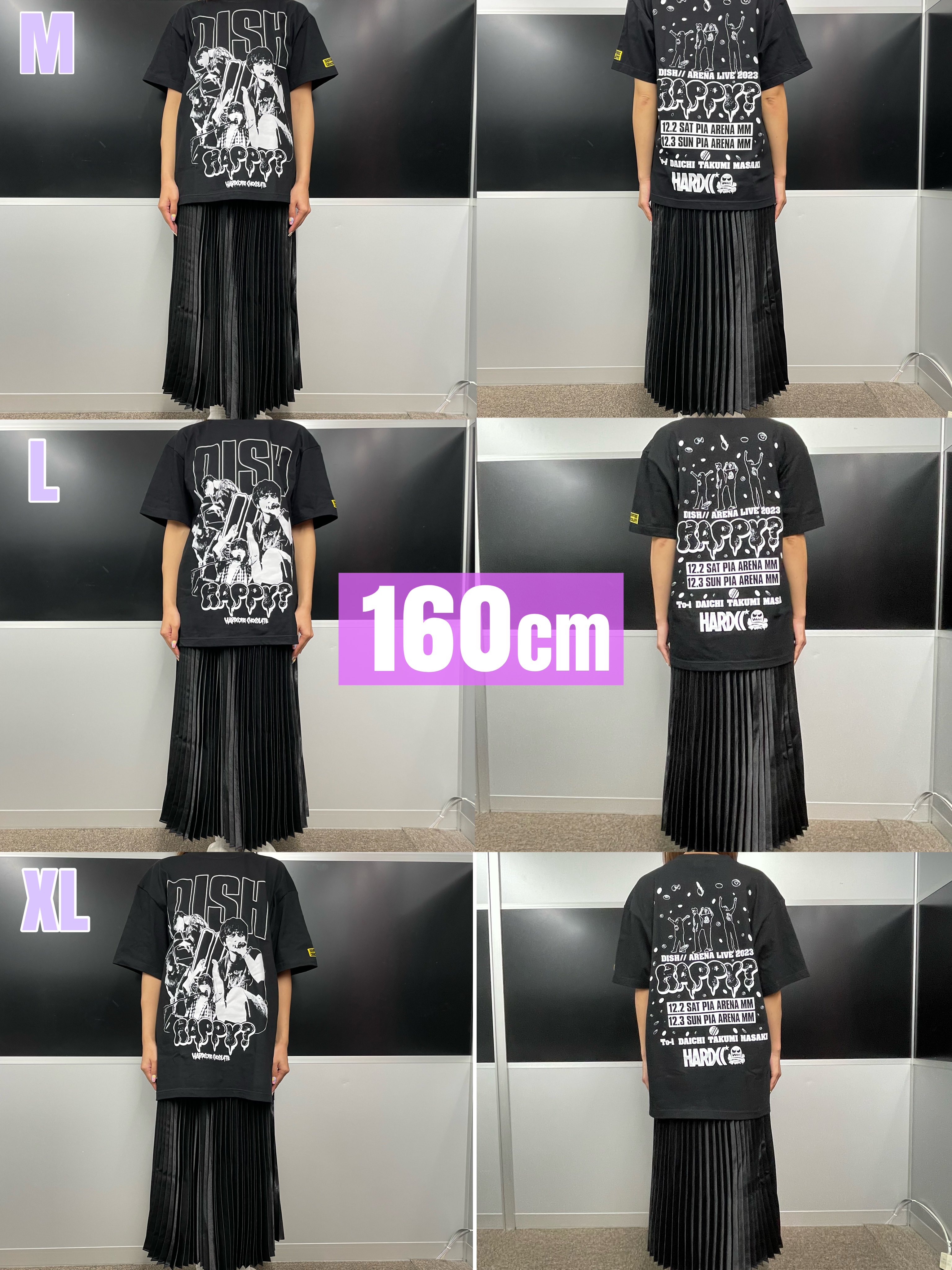 DISH// アリーナライブ2023 HAPPY？ フーディー Lサイズ DISH// アリーナライブ2023 HAPPY？ フーディー Lサイズ ライブ