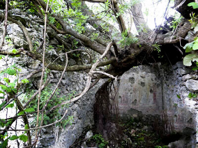 sentieripollino's tweet photo. SITO ARCHEOLOGICO DI SASSONE A MORANO CALABRO (CS)
L'insediamento, si trova su una posizione strategica un tempo per il controllo dell'asse viario dell'"Ania Popilia" ...
Approfondisci a questo link: https://t.co/hiYcBj6eRH
#sitoarcheologico #sassone #aniapopilia https://t.co/wRMQR1TpmV