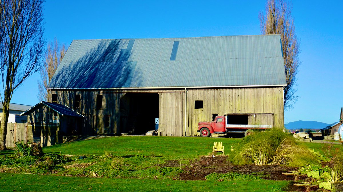 #Top4Theme this week is #Top4Farms @obligatraveler @ararewoman @intheolivegrov1 @OdetteDunn Staying local: 1 & 2 Duvall, WA 3 & 4 Mount Vernon, WA