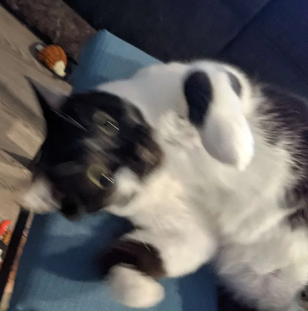 Because I need money to pay for goods and services, I'm looking for opportunities/work inside DotA(Or other)

I have experience w/ logistics, putting together bootcamps/venues, scheduling, casting, producing, managing players &amp; more

Like, retweet, share, follow and subscribe.