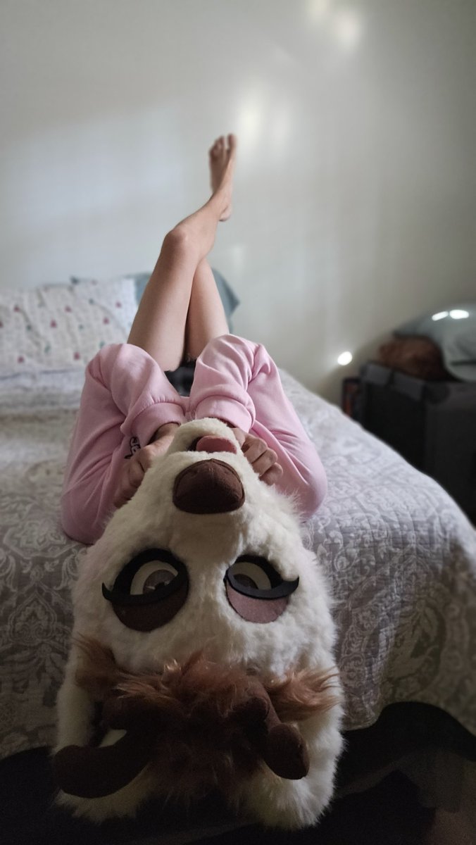 lukabuns's tweet photo. Since I just hit the 800 mark, I guess I'll be nice and share some extremely rare pics of Smiggs in bottom mode. Who knows, maybe if he likes you enough he'll dress like this for you too~
#murrsuitmonday #murr 
📷: @ArcticCandyAD https://t.co/JtCCAOQpX4