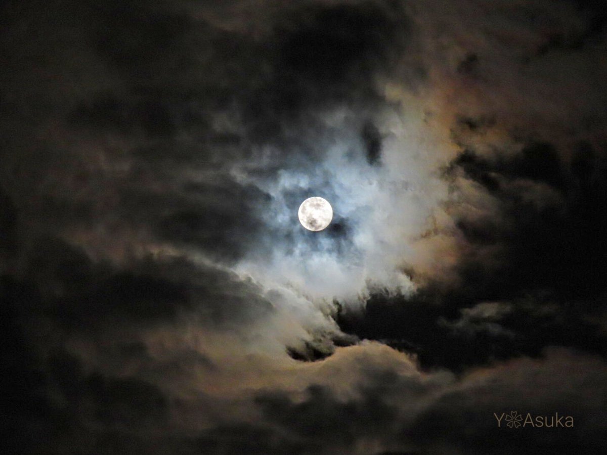 yumeasutw's tweet photo. #満月 と夜空を彩る #月光環
☁️✨🏳️🌈✨🌕️✨🏳️🌈✨☁️
18時16分に満月を迎えた
#十五夜月 (月齢14.0)
西から東へ流れ行く
雲の波間から見え隠れ✨
#月 #moon #十五夜
#高積雲 #波状高積雲
#夜空 #宙の名前
#天気の図鑑 #雲の超図鑑
#気象のはなし
#月が好き
#動画
#a2023 #a1127 #a202311 #a2023114 https://t.co/gvMPbaqscU