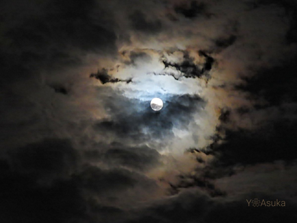 yumeasutw's tweet photo. #満月 と夜空を彩る #月光環
☁️✨🏳️🌈✨🌕️✨🏳️🌈✨☁️
18時16分に満月を迎えた
#十五夜月 (月齢14.0)
西から東へ流れ行く
雲の波間から見え隠れ✨
#月 #moon #十五夜
#高積雲 #波状高積雲
#夜空 #宙の名前
#天気の図鑑 #雲の超図鑑
#気象のはなし
#月が好き
#動画
#a2023 #a1127 #a202311 #a2023114 https://t.co/gvMPbaqscU