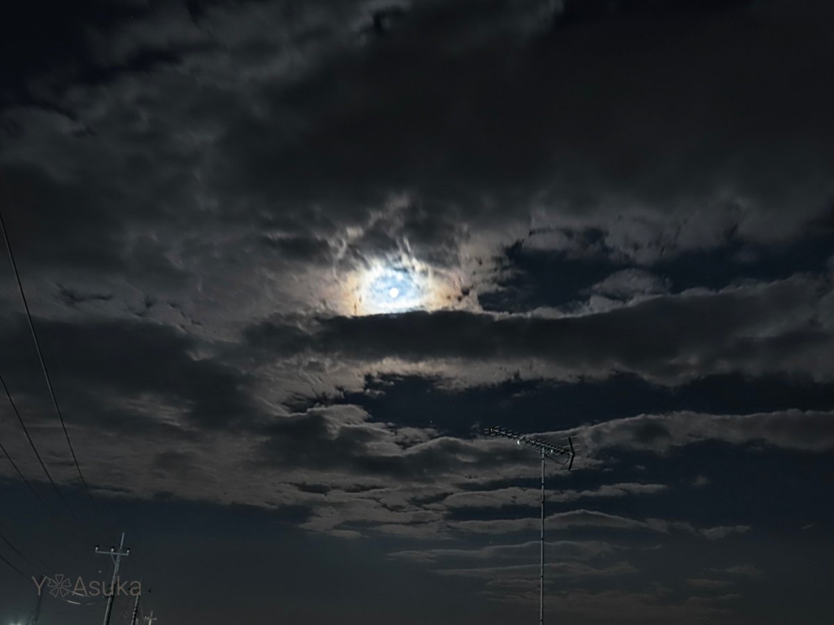 yumeasutw's tweet photo. #満月 と夜空を彩る #月光環
☁️✨🏳️🌈✨🌕️✨🏳️🌈✨☁️
18時16分に満月を迎えた
#十五夜月 (月齢14.0)
西から東へ流れ行く
雲の波間から見え隠れ✨
#月 #moon #十五夜
#高積雲 #波状高積雲
#夜空 #宙の名前
#天気の図鑑 #雲の超図鑑
#気象のはなし
#月が好き
#動画
#a2023 #a1127 #a202311 #a2023114 https://t.co/gvMPbaqscU