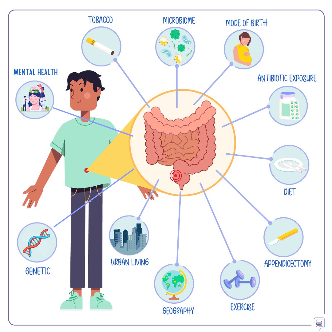 🌟 November-Exciting News IBD-EII! 🌟
🧵

🆕 Introducing the new "IBD multifactorial" section at ibd-eii.com/ibdmultifactor…

Delve into the risk &amp; protective factors that have been associated with IBD onset.

Over 190 studies organized per year and type of factor!