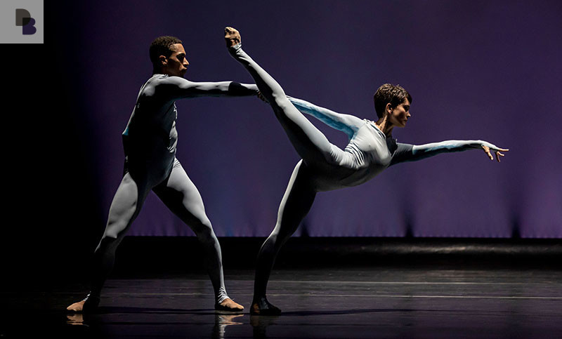 dancabrasil's tweet photo. SÃO PAULO COMPANHIA DE DANÇA MOSTRA REPERTÓRIO EM ÚLTIMA APRESENTAÇÃO DE 2023
Leia a matéria na integra no portal
https://t.co/MmeegEboc1 ou link na BIO
@spcd
@inesbogea
#revistadançabrasil #dancabrasilfestival #ballet #balletclassico #bailarina #vidadebailarina #bailarinas https://t.co/p6mVsUDvCA