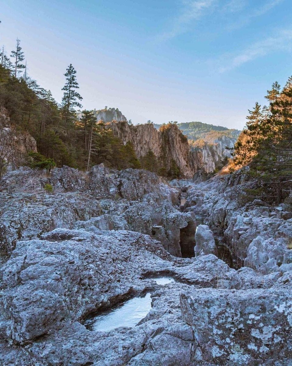 ¡Que ganas de andar allá! No, no es el Expreso Polar, es el "Chepe" que se encuentra en Chihuahua. 

Este tren turístico, pasando por las Barrancas del Cobre. Está increíble... 🇲🇽🚂😍
#Nacionales