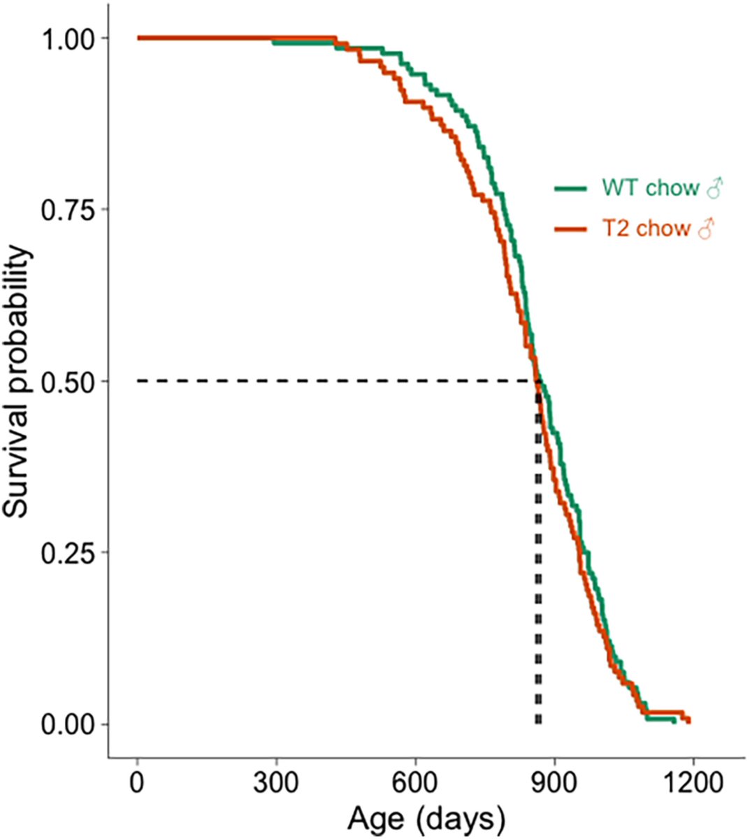 SIRT2 transgenic over-expression does not impact lifespan in mice 👉“…shows no impact of SIRT2 over-expression on healthspan or lifespan on a non-progeroid wild-type background” @LindsayWu_UNSW @davidasinclair @DavidLeCouteur & Nigel Turner et. al. 🔗onlinelibrary.wiley.com/doi/full/10.11…👨🏻‍⚕️