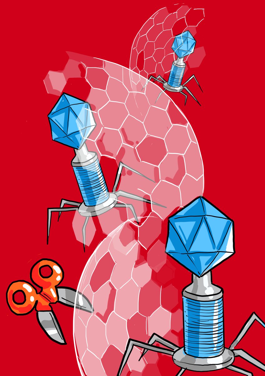 1/3 This week’s fanart is from a work by Camara-Wilpert, Mayo-Munozet al., published in Nature
°
#biology #virus #immune #CRISPR #immunity #sciart #digitalart #art #research #researchpaper #nature