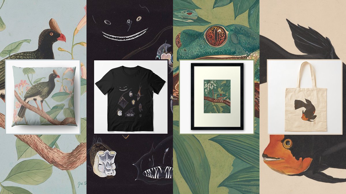 This #CyberMonday, nearly everything in the @arkivist Redbubble Shop is on sale! rdbl.co/3GgSvzd 🎨 Shop features a selection of works from our Department of Tropical Research illustrations collection. 🐶 New this season: pet products like blankets and bandanas.