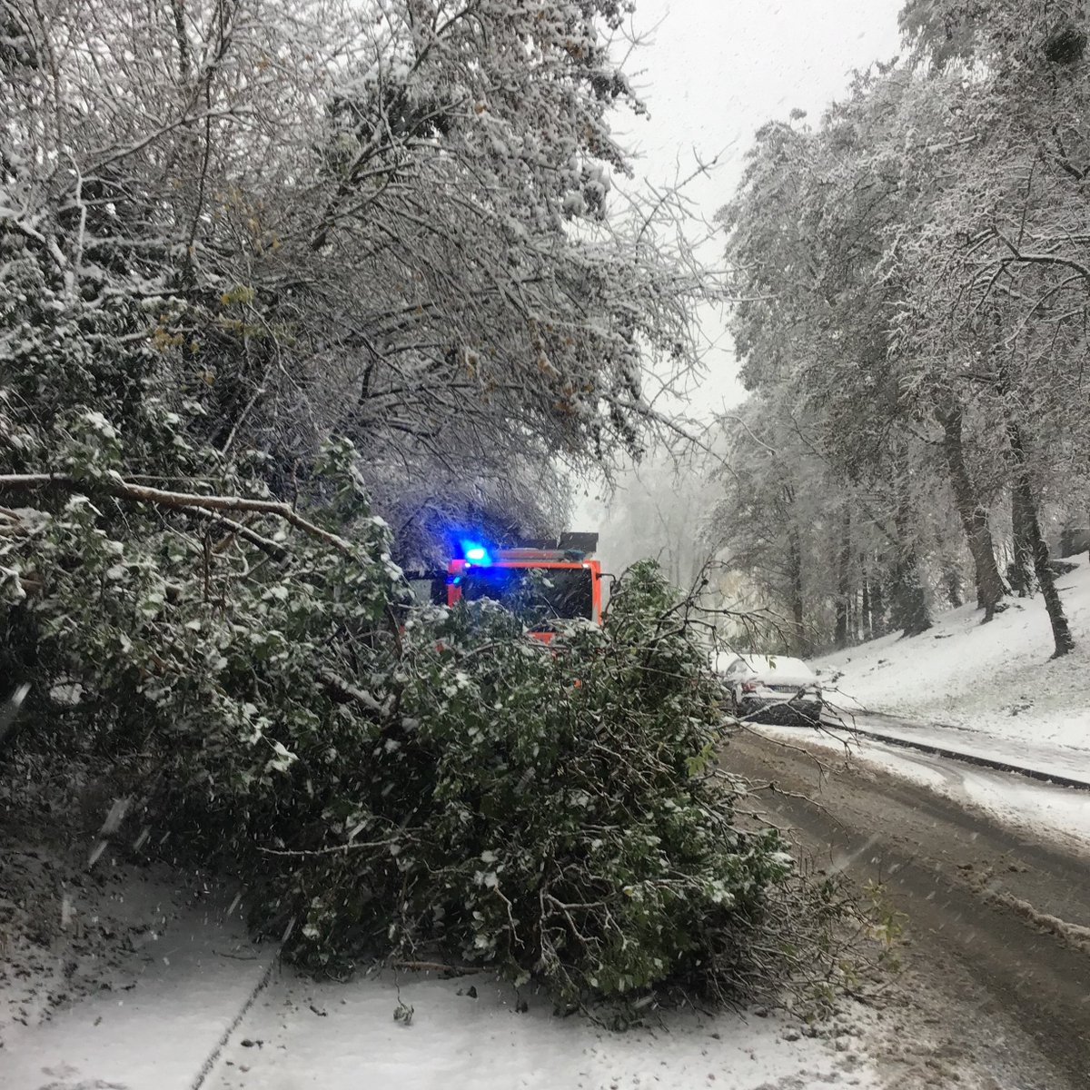 FeuerwehrWI's tweet photo. Der #Wintereinbruch mit ordentlich #Schneefall beschäftigt aktuell Einsatzkräfte von #Berufsfeuerwehr und Freiwilligen Feuerwehren aus #Auringen, #Frauenstein, #Naurod und #Rambach. Einige Bäume konnten die Schneelast nicht tragen und sind umgestürzt. ❄️ ^jh https://t.co/UocjwfgPCm