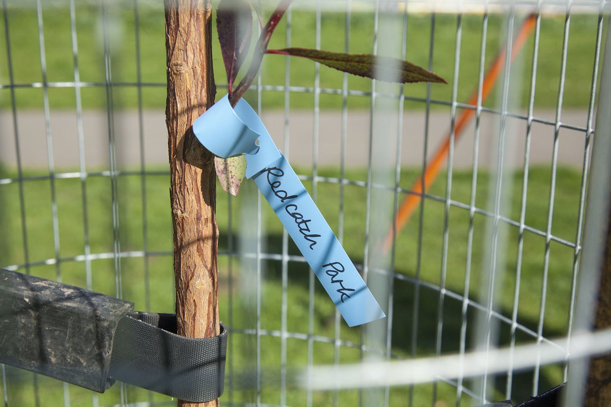 BristolCouncil's tweet photo. #OneTreePerChild plants trees 🌱 in schools, parks and open spaces.
If you want to get involved, find out more about how you can 👉 https://t.co/2czrkqA3I7
@OTPCBristol 🌳 #NationaTreeWeek https://t.co/gwKTA1WDOw