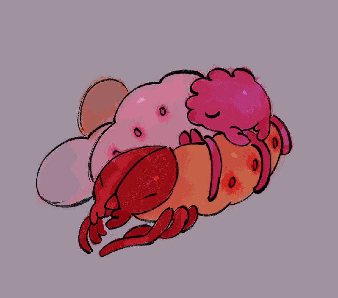 webbsect's tweet photo. what if we were both grubs and loved each other https://t.co/weaBrXjif2