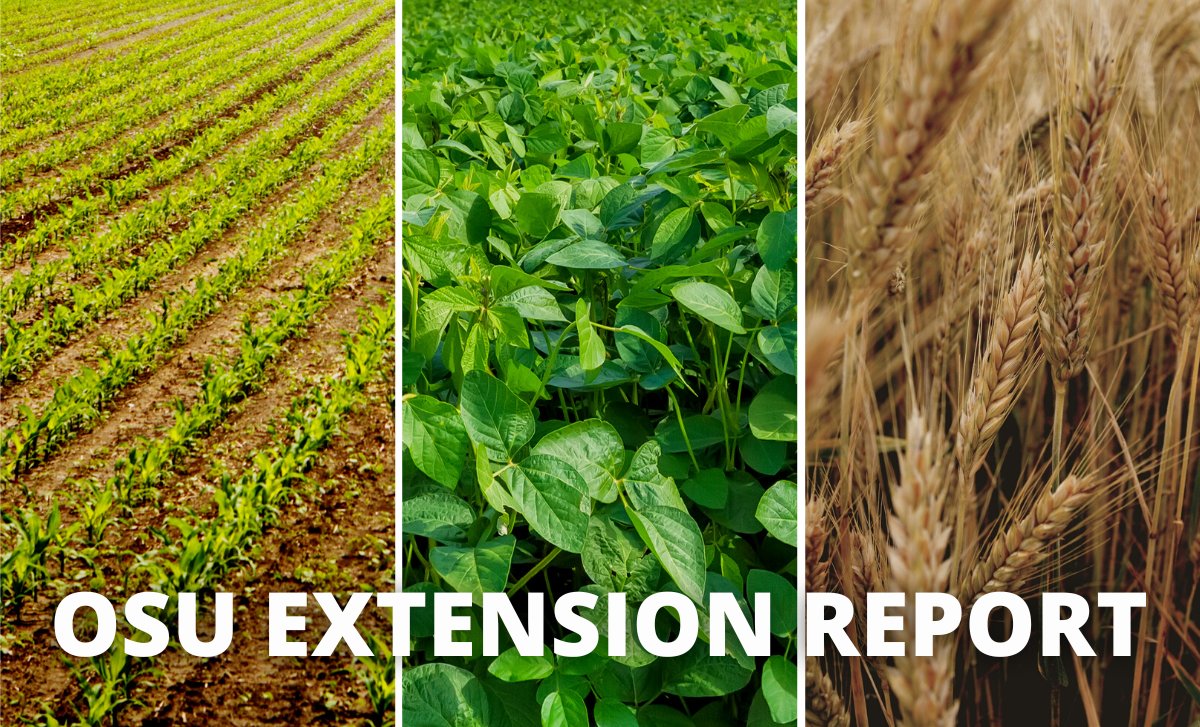 Hardin County rainfall report for 2023 growing season. By Mark Badertscher. > bit.ly/47S8MGu