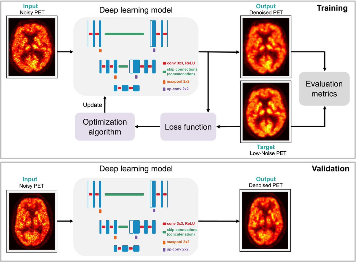 JournalofNucMed's tweet photo. A comprehensive survey of state-of-the-art #AI methods for PET and SPECT image enhancement: https://t.co/iwfd5jW9nP

#MedicalImaging #MolecularImaging @vibha_balaji @JoyitaDutta https://t.co/a7zvXl3hnD
