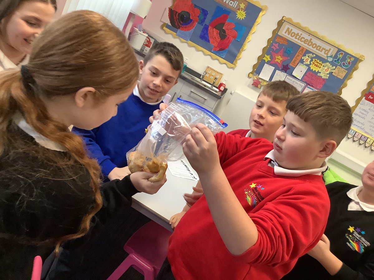 westheathprim's tweet photo. #WHPSClass13 showed some serious courage this afternoon in acting out the digestion process. It wasn't the prettiest thing to do but it definitely supported our understanding! Some of us were more impressed than others as you can see! #WHPSScience https://t.co/4NxLOB4UKL