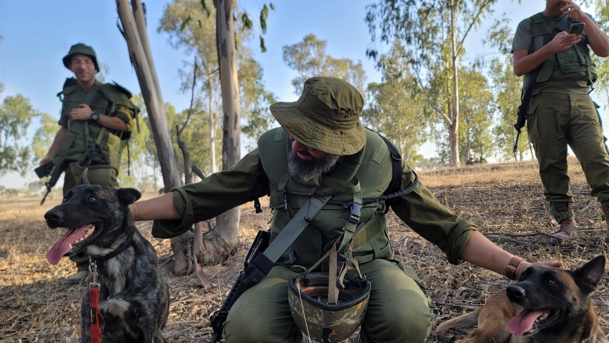 moyshale tweet media