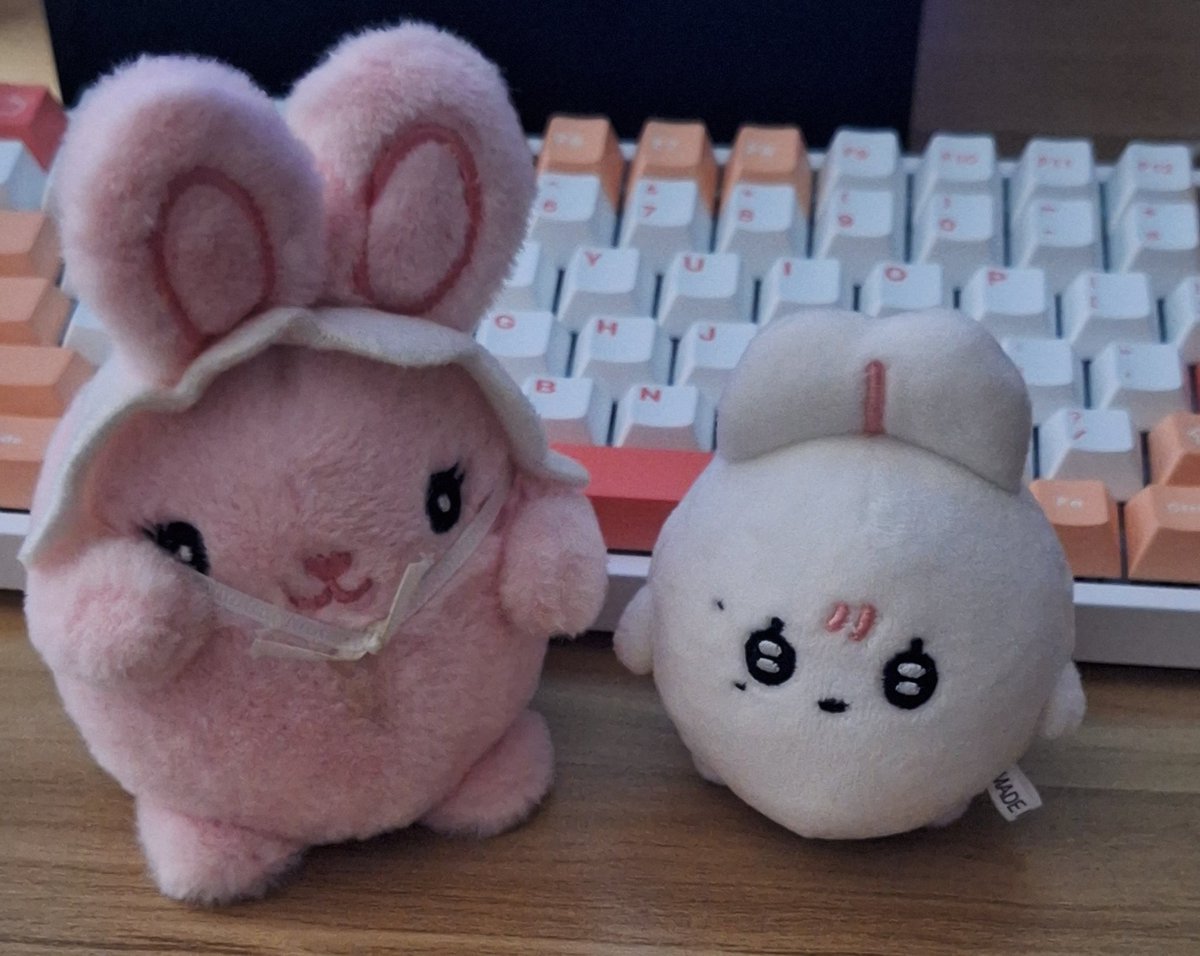 ♡ #ttoki_hauls ♡

she's soooo cute and tiny 😭🤍 thank u <a href="/wenrenecart/">tin</a> for hosting the <a href="/baejjuball/">배쭈볼</a> go!!!