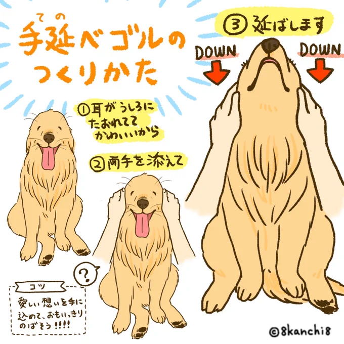 【手延べゴルの つくりかた】
思いっきり延ばすとつるつるな毛並みの良いアゴやおでこが見られます。
顔のお肉がのびのびしてかわいいです。
let's ノビノビ。

#ゴールデンレトリバー
#犬のイラスト 