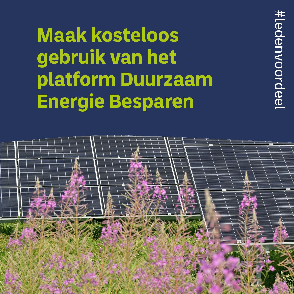 GroenOndernemen's tweet image. DEB (Duurzaam Energie Besparen) is een onafhankelijk online platform dat ondernemers kosteloos helpt om inzicht te krijgen in alles wat er kan en moet met energie besparen.

Meer weten? Klik dan hier:

vhg.org/ondernemer/ond…

#DEB #partner #VHG #Ledenvoordeel