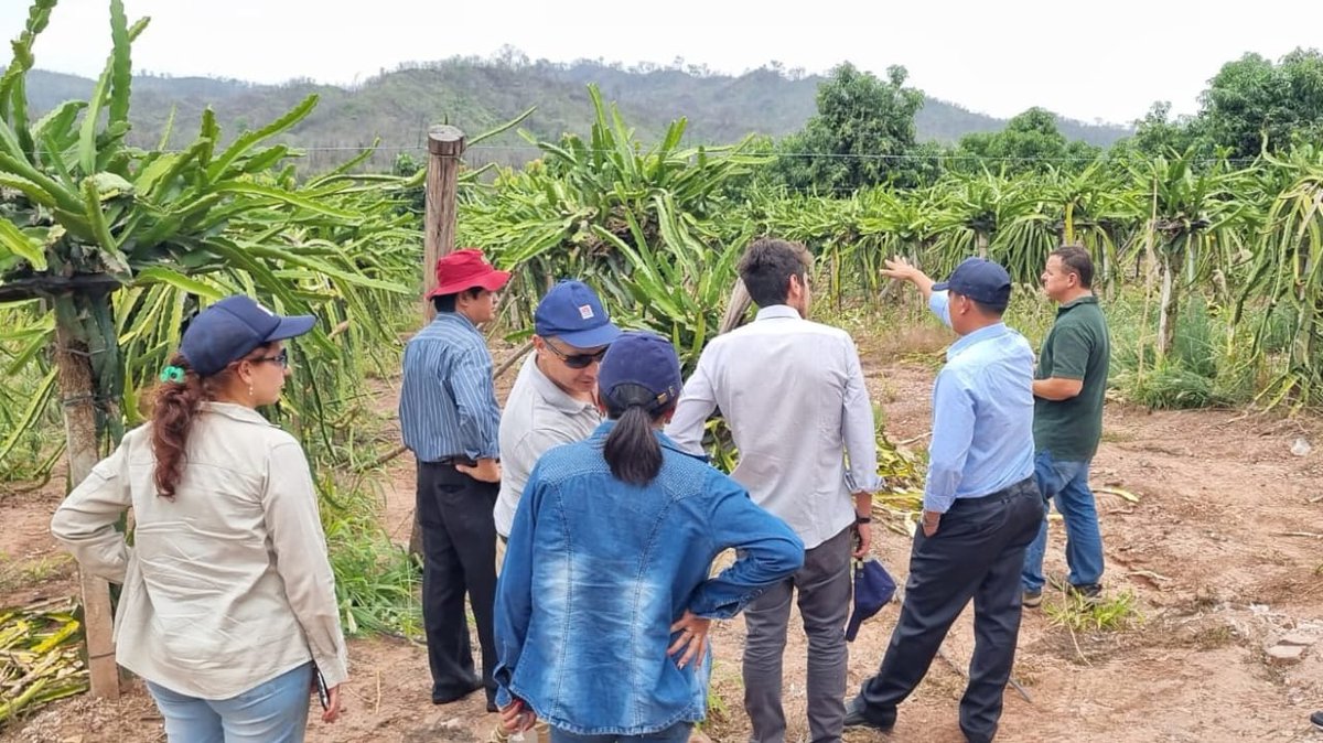 Cooperación Argentina tweet media