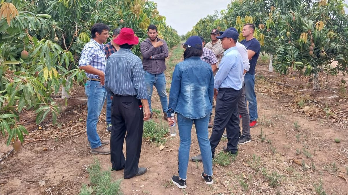 Cooperación Argentina tweet media