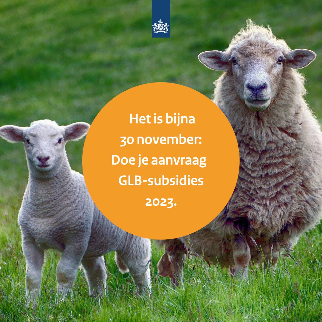 🔔 Je hebt nog een paar dagen om je aanvraag GLB-subsidies 2023 te doen. Vergeet dit niet!

Vragen? Neem dan contact met ons op. We zijn op 29 en 30 november geopend tot 20:00 uur. 
📞 088 – 042 42 42 
📱 of via de chat op onze website.

Meer informatie ➡️ rvo.nl/onderwerpen/gl…