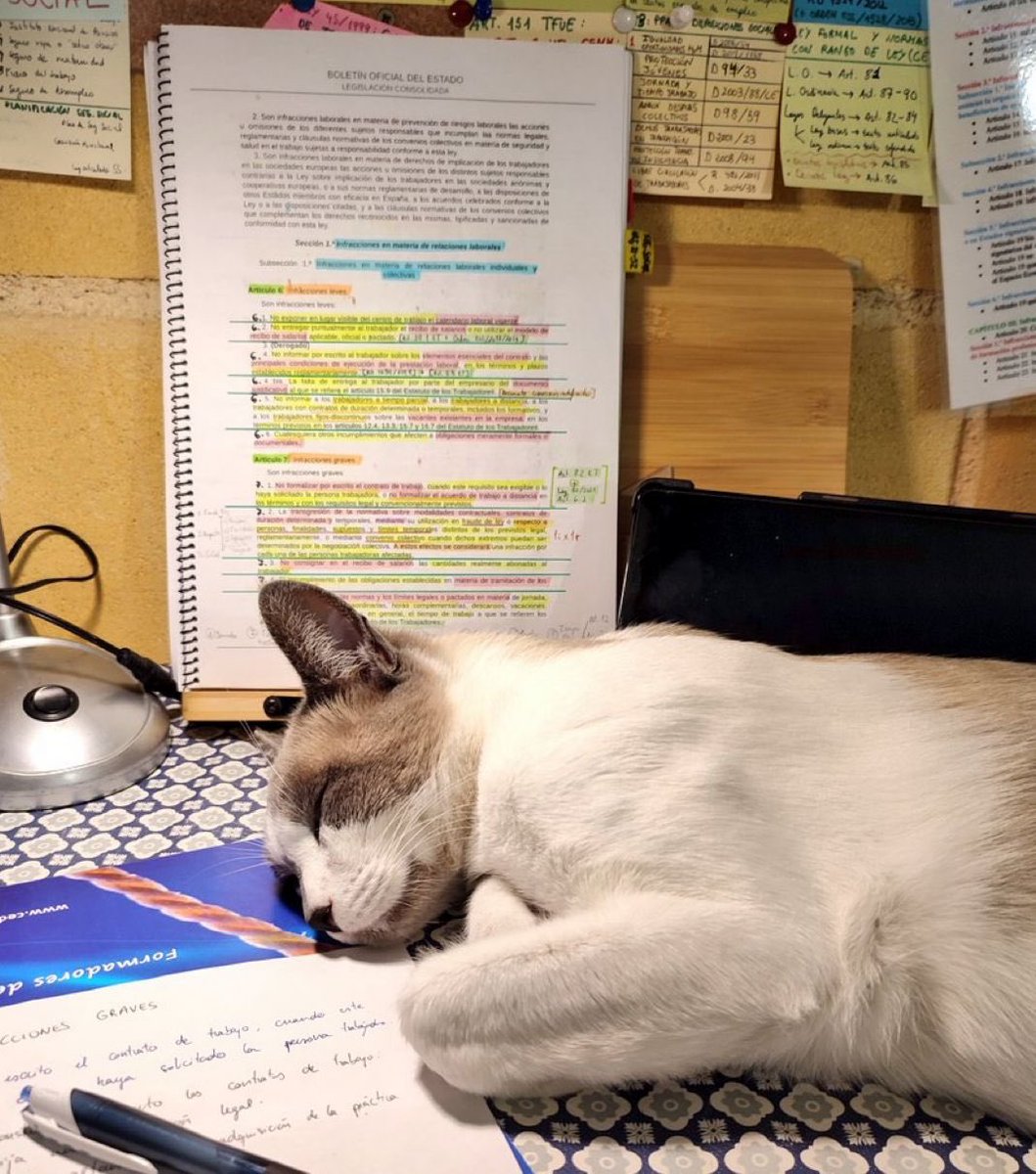 Mi mamá: No hagan ruido, su hermano está estudiando para su examen final

Yo: